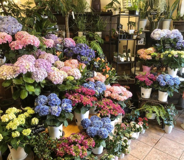 二子新地 有限会社原生花店